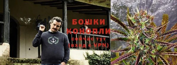 молекула духа Алексин