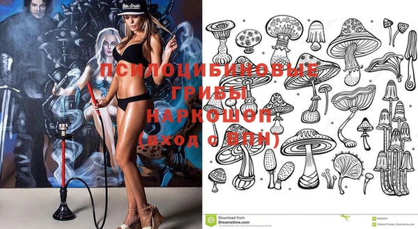 первитин Алексеевка